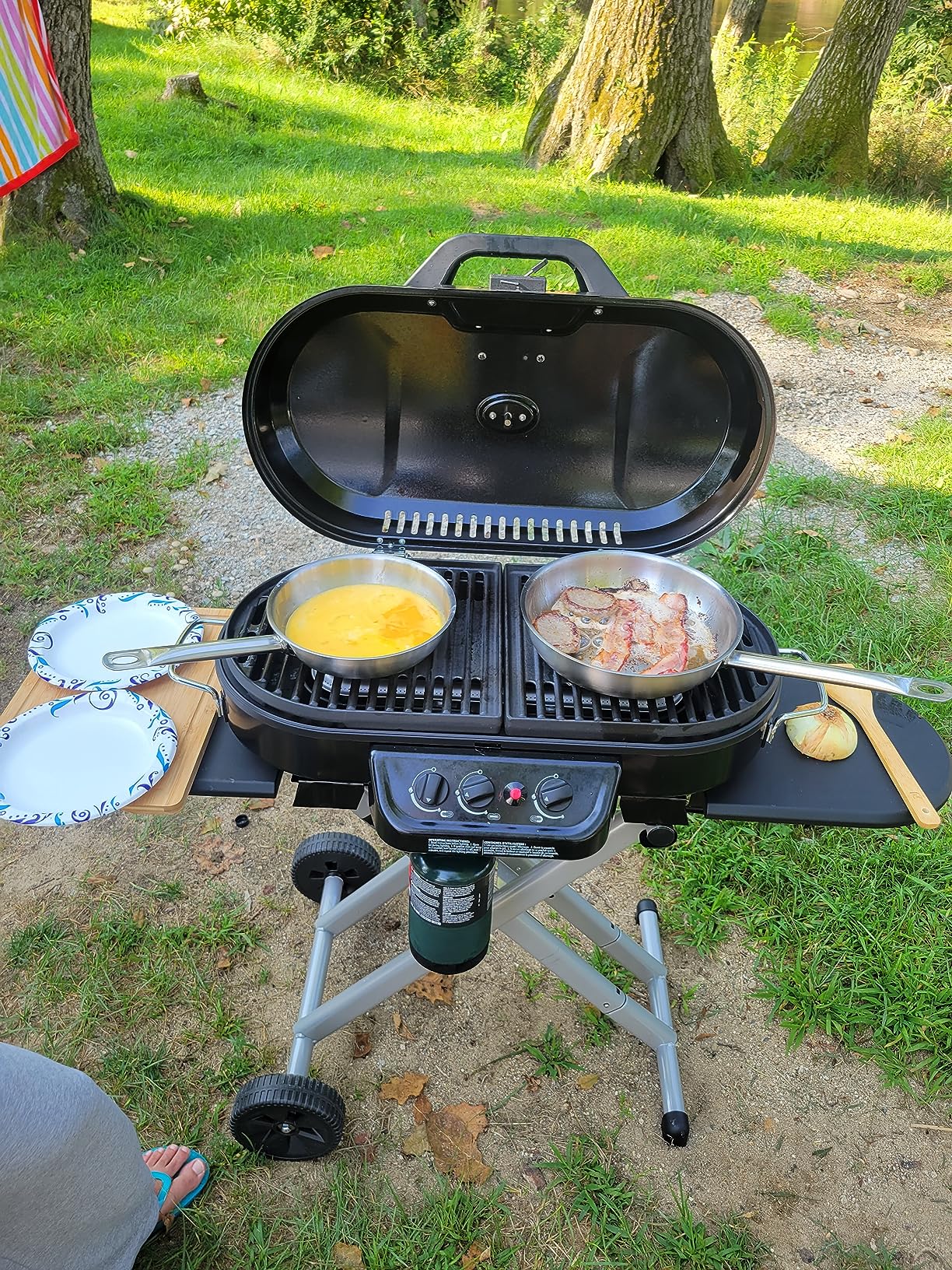 Coleman RoadTrip 285 Portable Stand-Up Propane Grill, Gas Grill wit