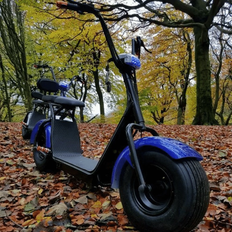 ADULT TRAM SCOOTER 60V 1000W